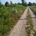 650 mp de liniste, natura si aer curat in Brebu, Prahova